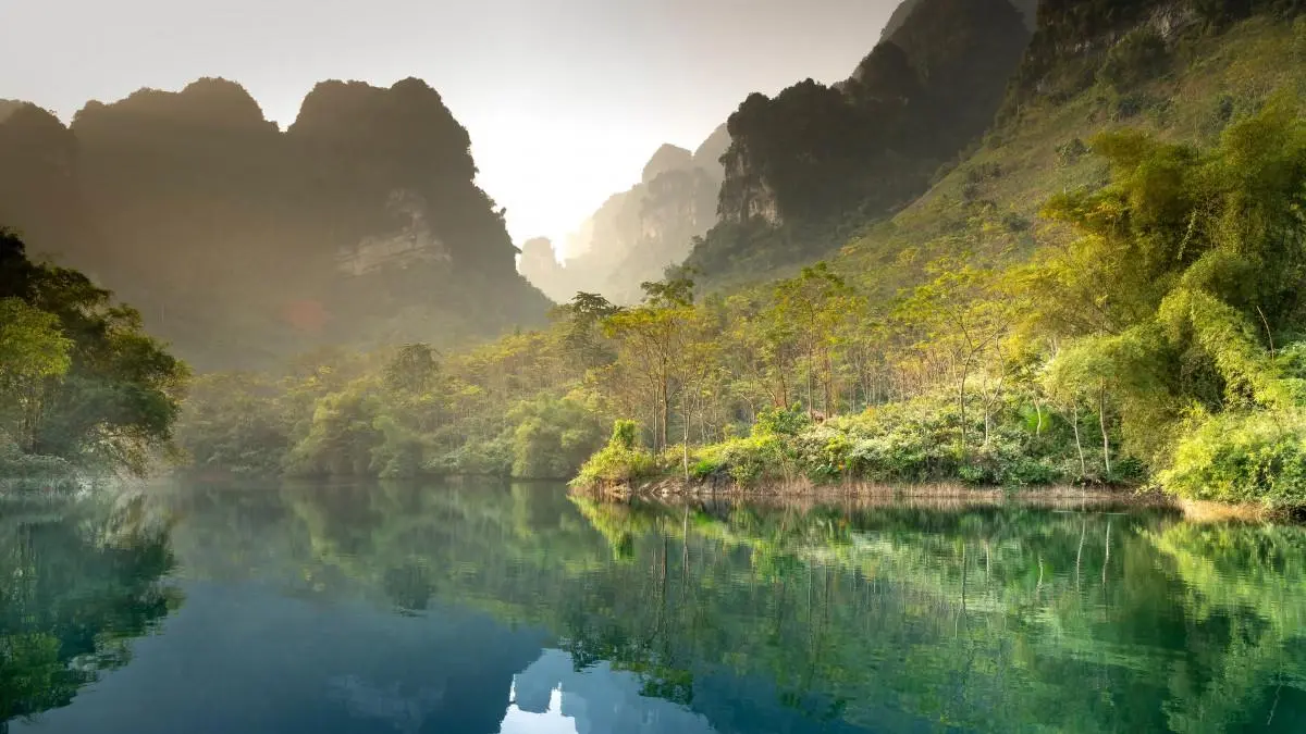 高效科技高端
